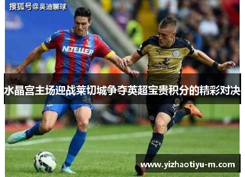 水晶宫主场迎战莱切城争夺英超宝贵积分的精彩对决