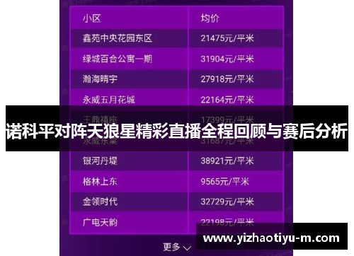 诺科平对阵天狼星精彩直播全程回顾与赛后分析