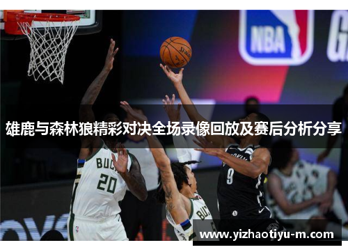 雄鹿与森林狼精彩对决全场录像回放及赛后分析分享