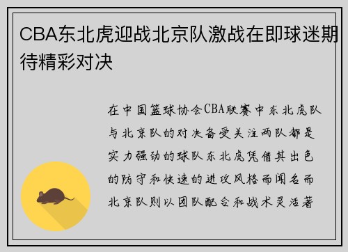 CBA东北虎迎战北京队激战在即球迷期待精彩对决
